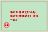 落叶松种灵芝好不好(落叶松种植灵芝：值得一试！)