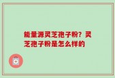 能量源灵芝孢子粉？灵芝孢子粉是怎么样的