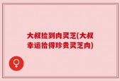 大叔捡到肉灵芝(大叔幸运拾得珍贵灵芝肉)