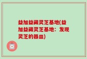 益加益藏灵芝基地(益加益藏灵芝基地：发现灵芝的器皿)