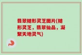 翡翠随形灵芝图片(随形灵芝，翡翠仙品，凝聚天地灵气)