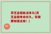 灵芝盆栽能活多久(灵芝盆栽寿命长久，你需要知道这些！)