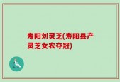 寿阳刘灵芝(寿阳县产灵芝女农夺冠)