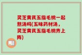 灵芝黄芪五指毛桃一起熬汤吗(五味药材汤，灵芝黄芪五指毛桃齐上阵)