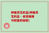 种植灵芝的盆(种植灵芝的盆 - 收获健康与财富的秘密)