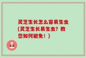 灵芝生长怎么容易生虫(灵芝生长易生虫？教您如何避免！)