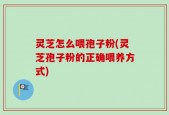 灵芝怎么喂孢子粉(灵芝孢子粉的正确喂养方式)