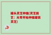 罐头灵芝种植(灵芝园艺：从零开始种植罐装灵芝)