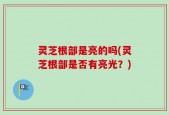 灵芝根部是亮的吗(灵芝根部是否有亮光？)