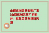 山西运城灵芝收购厂家(山西运城灵芝厂家购并，掀起灵芝市场新风潮