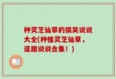种灵芝仙草的搞笑说说大全(种植灵芝仙草，逗趣说说合集！)
