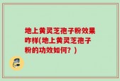 地上黄灵芝孢子粉效果咋样(地上黄灵芝孢子粉的功效如何？)