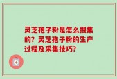 灵芝孢子粉是怎么搜集的？灵芝孢子粉的生产过程及采集技巧？