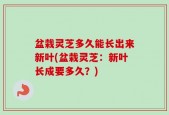 盆栽灵芝多久能长出来新叶(盆栽灵芝：新叶长成要多久？)