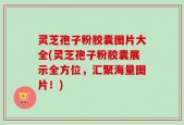 灵芝孢子粉胶囊图片大全(灵芝孢子粉胶囊展示全方位，汇聚海量图片！)