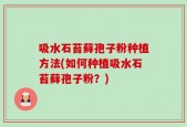 吸水石苔藓孢子粉种植方法(如何种植吸水石苔藓孢子粉？)