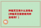 种植灵芝用什么消毒水(种植灵芝需使用何种消毒剂？)
