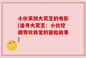 小伙采到大灵芝的电影(追寻大灵芝：小伙挖掘奇珍异宝的冒险故事)
