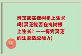 灵芝能在槐树根上生长吗(灵芝能否在槐树根上生长？——探究灵芝的生态适应能力)