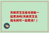 天麻灵芝五指毛桃能一起煮汤吗(天麻灵芝五指毛桃可一起煮汤？)