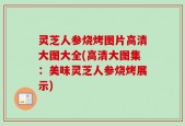灵芝人参烧烤图片高清大图大全(高清大图集：美味灵芝人参烧烤展示)