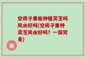 空房子里能种植灵芝吗风水好吗(空房子里种灵芝风水好吗？一探究竟)