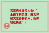 灵芝表本图片大全(“全面了解灵芝：图文详解灵芝各种表本，助你轻松挑选”)