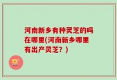 河南新乡有种灵芝的吗在哪里(河南新乡哪里有出产灵芝？)