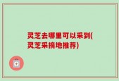 灵芝去哪里可以采到(灵芝采摘地推荐)