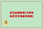 灵芝品相差距(不同等级灵芝外观差异明显)