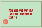 灵芝蟹是不是草药喂食(灵芝蟹：草药喂食的佳品？)