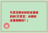 竹灵芝柄长的好还是短的好(竹灵芝：长柄好还是短柄好？)