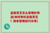 盆栽灵芝怎么管理好养活(如何养好盆栽灵芝？简单管理技巧分享)