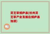 灵芝草桐庐县(杭州灵芝草产业发展在桐庐县加速)