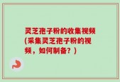灵芝孢子粉的收集视频(采集灵芝孢子粉的视频，如何制备？)