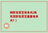 纯野生灵芝有多大(纯天然野生灵芝重量有多大？)