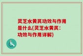 灵芝水黄芪功效与作用是什么(灵芝水黄芪：功效与作用详解)