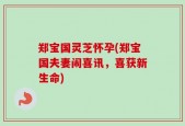 郑宝国灵芝怀孕(郑宝国夫妻闹喜讯，喜获新生命)