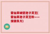 雷仙草破壁孢子灵芝(雷仙草孢子灵芝粉——保健良方)