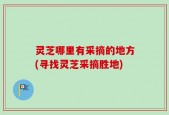 灵芝哪里有采摘的地方(寻找灵芝采摘胜地)