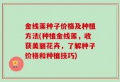 金线莲种子价格及种植方法(种植金线莲，收获美丽花卉，了解种子价格和种植技巧)