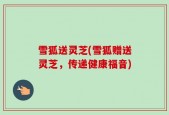 雪狐送灵芝(雪狐赠送灵芝，传递健康福音)