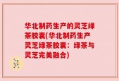 华北制药生产的灵芝绿茶胶囊(华北制药生产灵芝绿茶胶囊：绿茶与灵芝完美融合)