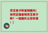 灵芝孢子粉鉴别图片(如何正确鉴别灵芝孢子粉？一张图片让你秒懂！)