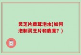 灵芝片鹿茸泡水(如何泡制灵芝片和鹿茸？)