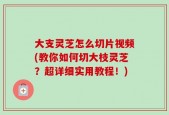 大支灵芝怎么切片视频(教你如何切大枝灵芝？超详细实用教程！)
