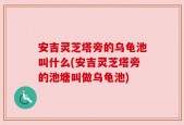 安吉灵芝塔旁的乌龟池叫什么(安吉灵芝塔旁的池塘叫做乌龟池)