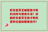 野生堂灵芝破壁孢子粉的功效与使用方法？详解野生堂灵芝孢子粉的营养价值和服用技巧？