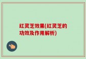 红灵芝效果(红灵芝的功效及作用解析)