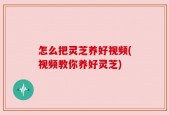 怎么把灵芝养好视频(视频教你养好灵芝)